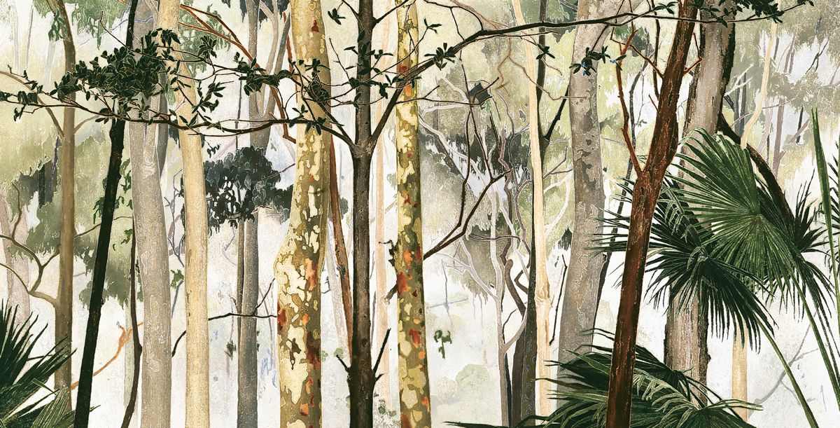 Cressida Campbell's work titled Eucalypt Forest, 2000