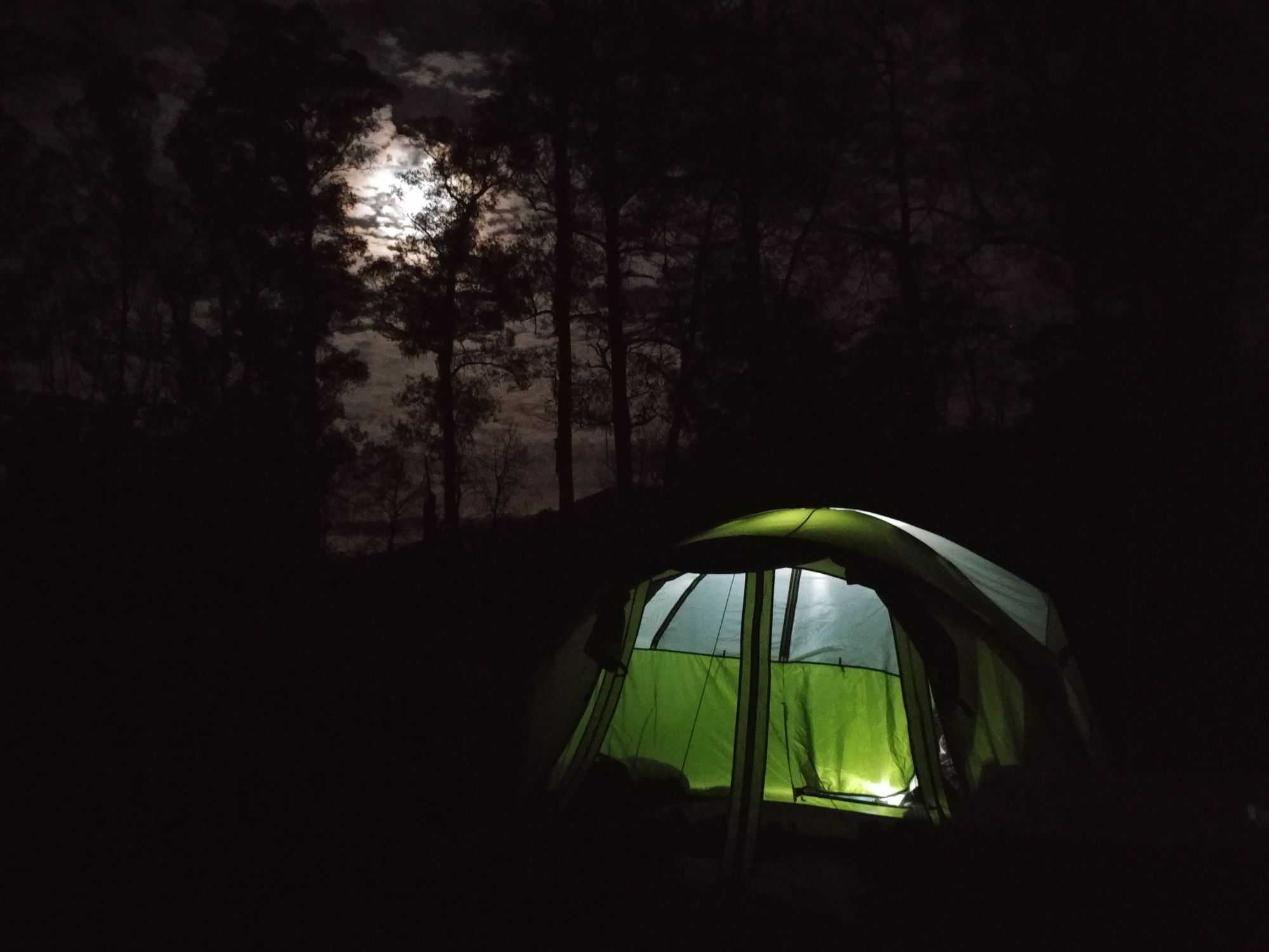 A light shines in a green tent. The full moon is high in the night sky. There are sihouettes of gum trees. 