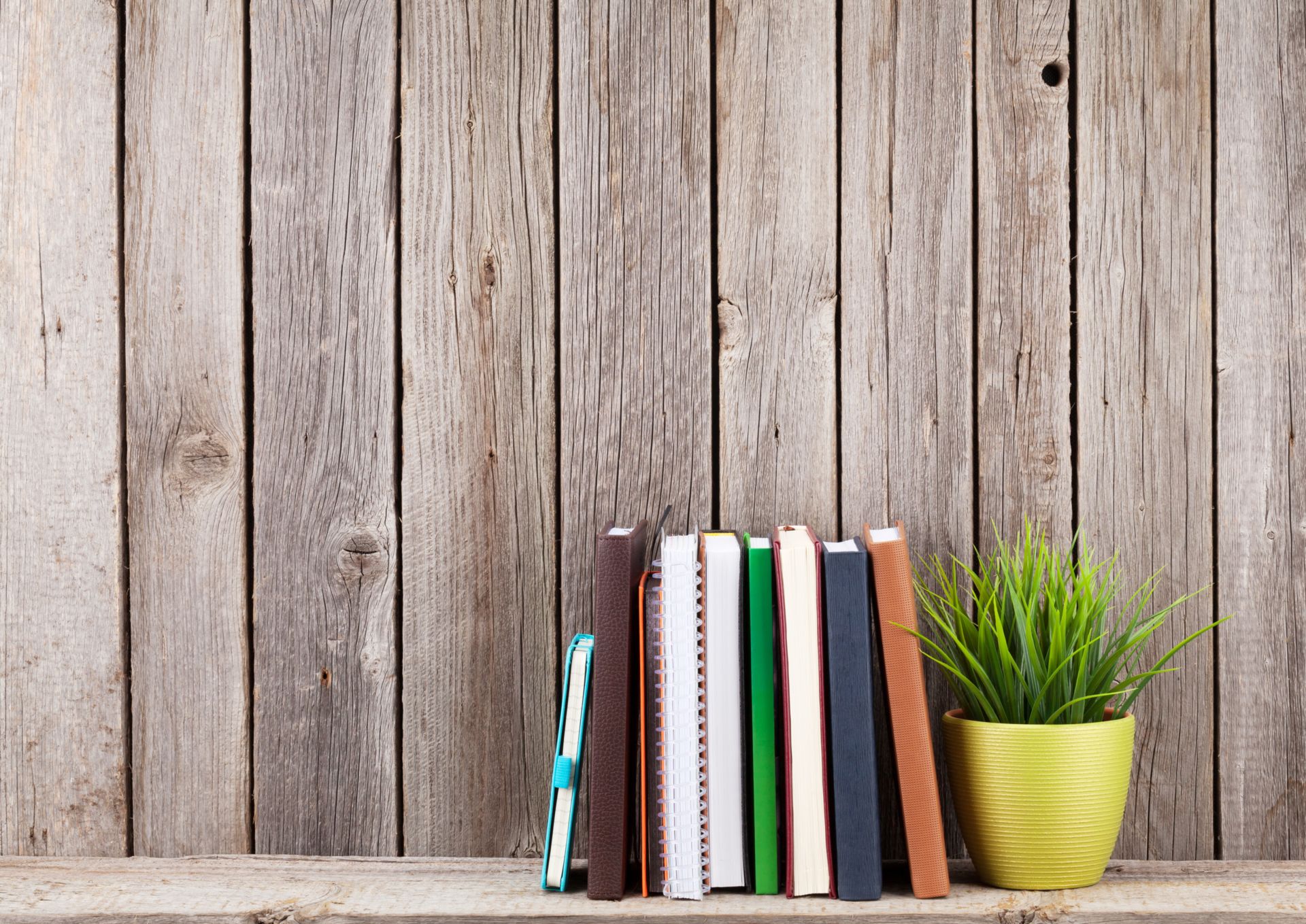 A selection of books and a pot plant on a wooden shelf