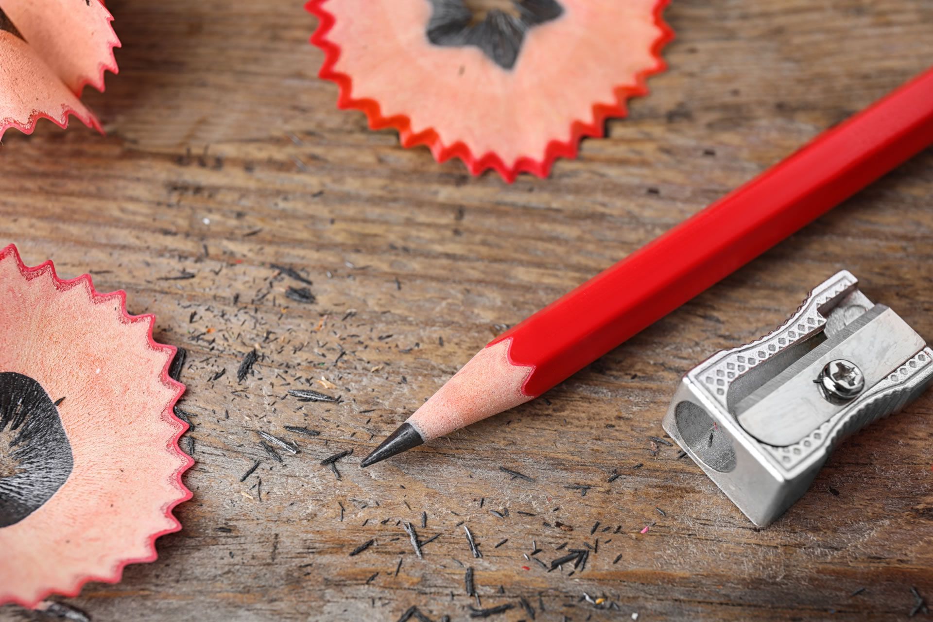 A lead pencil, a sharpener and sharpenings. 