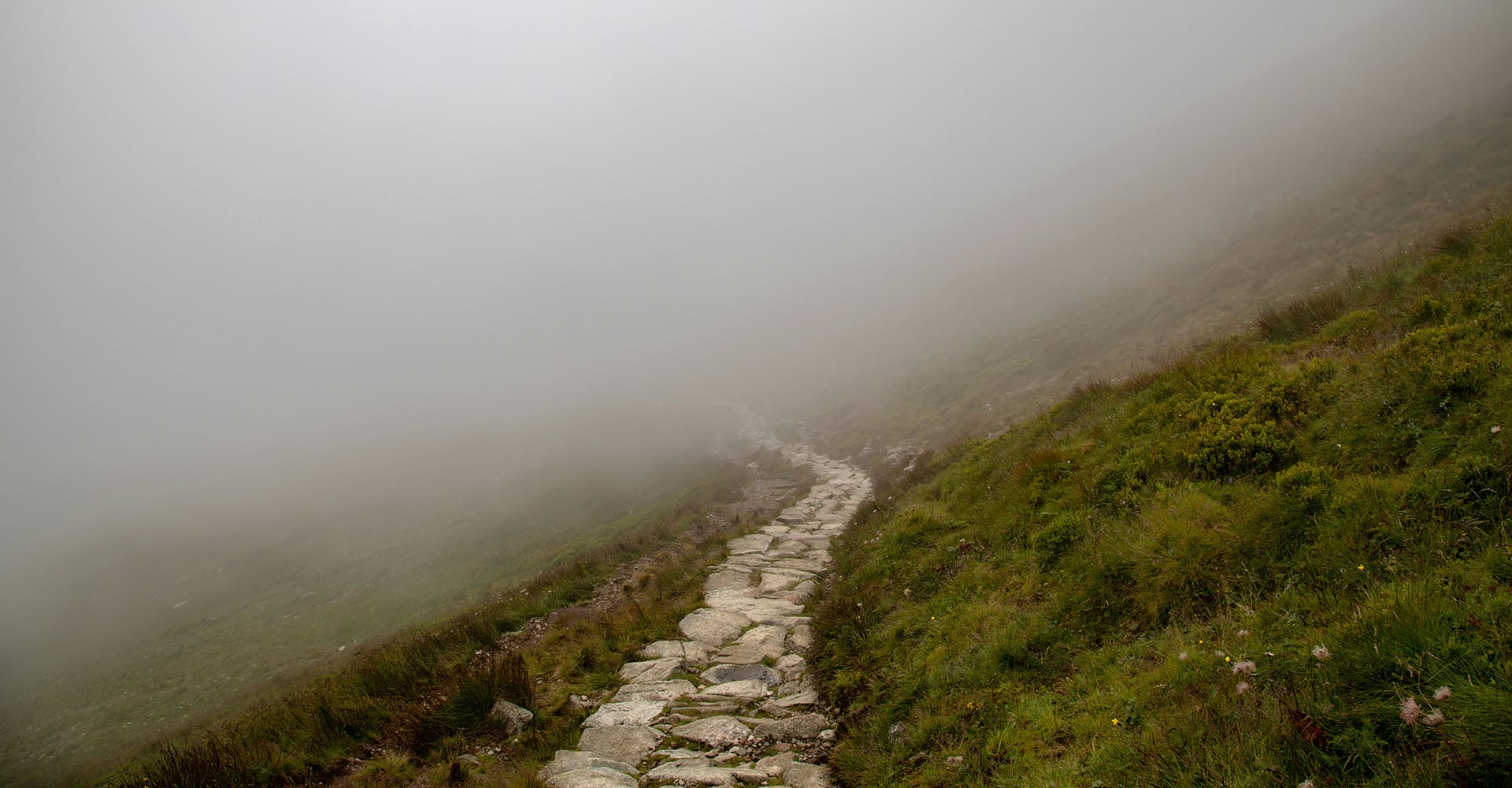 A rocky path through a field leading into fog. 