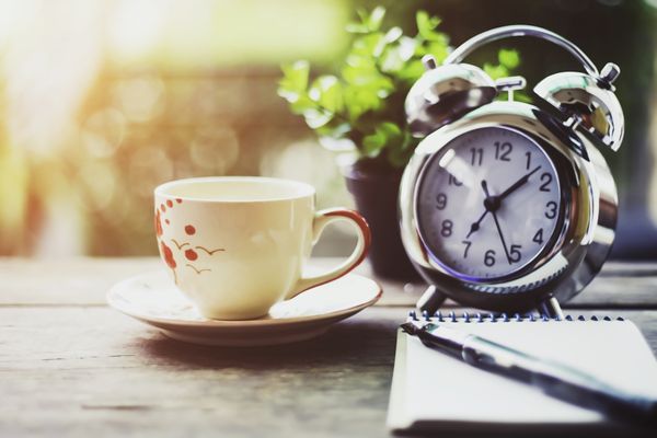 A cup, a clock and a notebook on a table with a plant and sunlight in the background. 