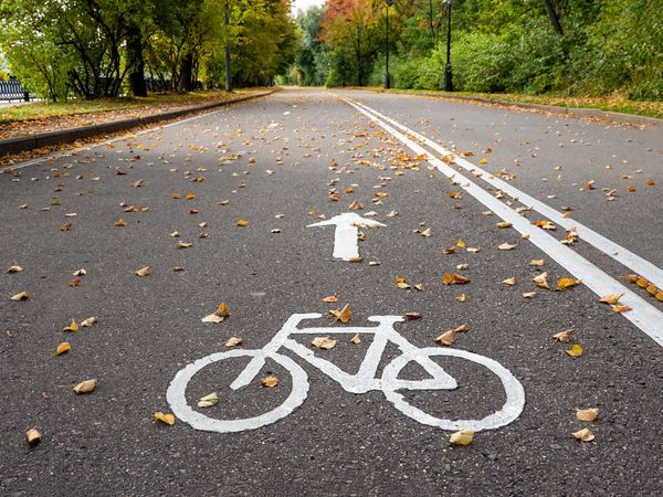 A picture of a bike painted on the road with fallen autumn leaves